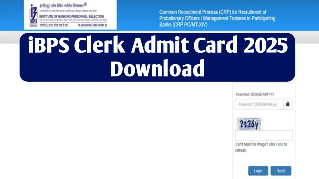 🏦 IBPS Clerk Admit Card 2025 - Link Out 🎫