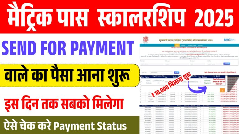 Bihar Board Matric Scholarship Status Check 2025 || Bihar Board 10th Pass Scholarship Status Check 2025